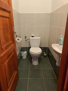 A bathroom at Villa Csilla elegant house