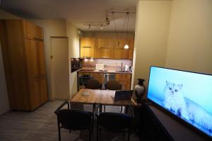 Kuchyň nebo kuchyňský kout v ubytování Apartment 6 Gwiazdek