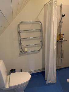 La salle de bains est pourvue de toilettes et d'un rideau de douche. dans l'établissement Mysigt rum i villa med egen ingång och nära havet., à Åhus