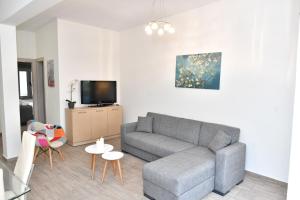 Телевизор и/или развлекательный центр в Michaela's guesthouse