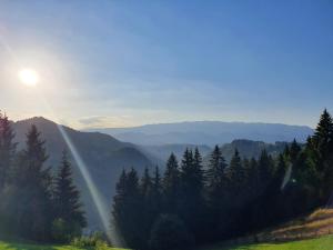 a view of a mountain range with the sun in the sky at ALEGRIA - MOIECIU DE SUS in Moieciu de Sus