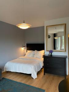 ein Schlafzimmer mit einem Bett mit einer Kommode und einem Spiegel in der Unterkunft Beautiful apartment with balcony in Berlin