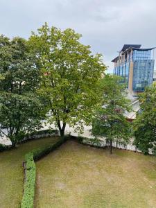 um parque com árvores e um edifício ao fundo em Beautiful apartment with balcony em Berlim
