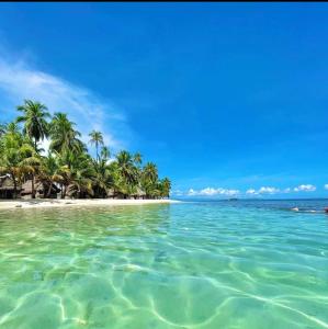 una playa con palmeras y el océano en Arridub Island-Iguana, en Playón Chico