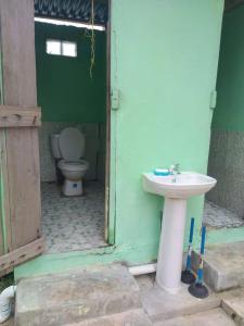 a bathroom with a sink and a toilet at Arridub Island-Iguana in Playón Chico