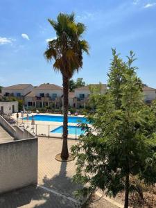 a swimming pool with a palm tree next to a building at Superbe appartement en résidence avec piscine proche plage in Linguizzetta