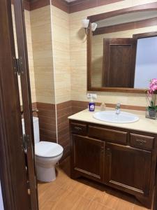a bathroom with a toilet and a sink and a mirror at Alojamiento las Delicias in Hornachuelos
