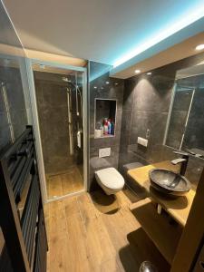 a bathroom with a toilet and a sink and a shower at Rendez-vous au studio in Valloire