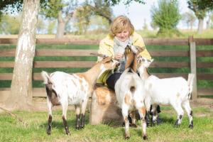 a woman sitting on a stump with three goats at Ferienwohnung Schwalbennest in Kiebitz