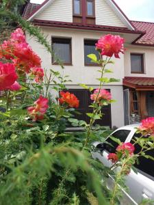 a bunch of pink flowers in front of a house at Під горою in Volovets