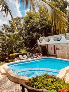 塞諾的住宿－Monte Verde Hostal，一个带躺椅的游泳池以及一座房子
