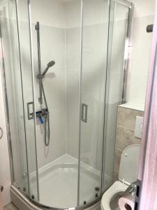 La salle de bains est pourvue d'une cabine de douche et de toilettes. dans l'établissement Apartments Lucie, à Biograd na Moru