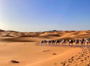 Fotografie z fotogalerie ubytování Chegaga desert Trips camp v destinaci Mhamid