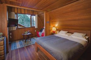 1 dormitorio con cama, ventana y TV en Chalé Pasárgada - Um pedacinho do paraíso na serra, en Bocaina de Minas