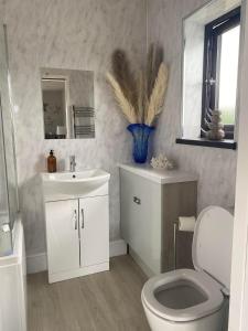 a bathroom with a toilet and a sink at The Annexe Porthcawl Pet Friendly 2 Bedroom Flat with King Size bed bunk beds and sofa bed sleeps up to 5 people in Nottage