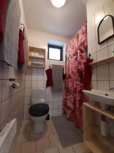 Vannituba majutusasutuses Chata Nad rybníkem Hnačov
