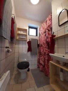 a bathroom with a toilet and a sink at Chata Nad rybníkem Hnačov 
