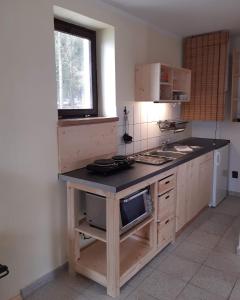 a kitchen with a counter with a sink and a microwave at Chata Nad rybníkem Hnačov 