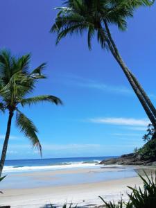 Φυσικό τοπίο κοντά σε αυτό το διαμέρισμα