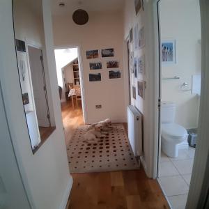 a dog laying on a rug in a bathroom at Kaia Penthouse, waking up to the sound and smell of the ocean in Ventnor