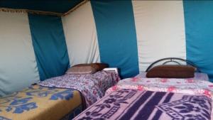 Fotografie z fotogalerie ubytování Chegaga desert Trips camp v destinaci Mhamid