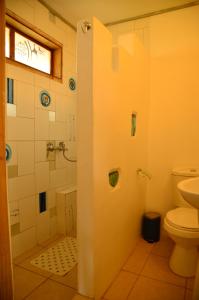 uma casa de banho com um chuveiro e um WC. em Cabañas AHOPIEDRA em Vicuña