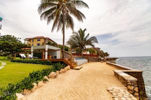 a house on the beach with a palm tree at THE SPLASHING VIEW in St Mary