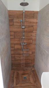a shower in a bathroom with a wooden wall at Héritage créole 3 : Touloulou in Sainte-Luce +5 photos