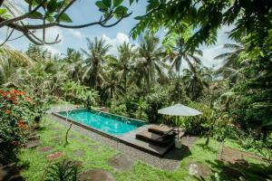 einen Pool im Garten einer Villa in der Unterkunft Ita House in Tegalalang