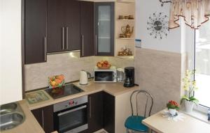 una piccola cucina con lavello e microonde di Stunning Apartment In Wielki Klincz With Wifi a Wielki Klińcz