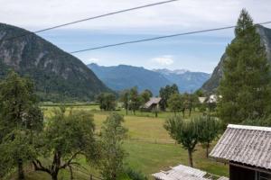 a view of a field with mountains in the background at Apartma Ivano in Bohinj