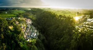 an aerial view of a village in a forest at Viceroy Bali in Ubud