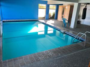 a large swimming pool with a blue wall at Absolute Lake View Motel in Taupo