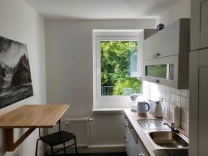 Kuchyň nebo kuchyňský kout v ubytování Ferienwohnungen Zauberberg, Schneehase & Glitzerhirsch