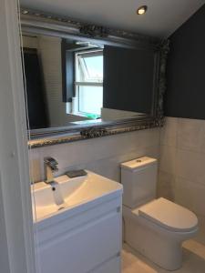 uma casa de banho com um lavatório, um WC e um espelho. em Mounvaud Lodge em Stradbally