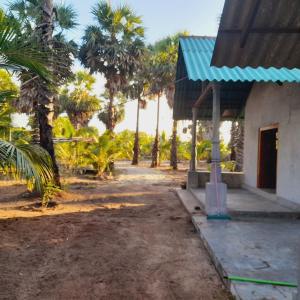 a house with a blue roof and some palm trees at Malabar Beach Walk in Jaffna