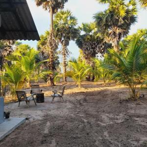 a park with benches and palm trees at Malabar Beach Walk in Jaffna