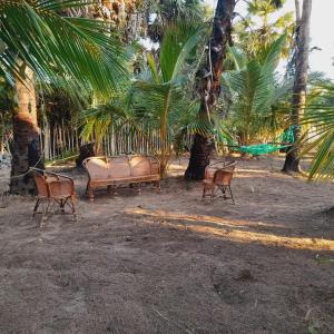 eine Sitzgruppe vor Palmen in der Unterkunft Malabar Beach Walk in Jaffna