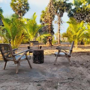 ジャフナにあるMalabar Beach Walkのヤシの木が生えたビーチのゴミ箱と椅子2脚