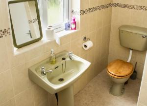 Garden Holiday Cottage by Trident Holiday Homes في Clogheen: حمام مع حوض ومرحاض ومرآة +22 صورة