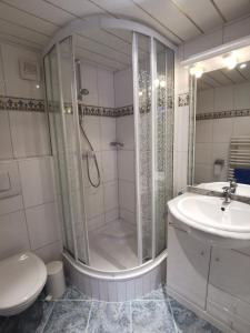 une salle de bain avec douche, lavabo et toilettes dans l'établissement Haus am Bach, à Kirchberg in Tirol