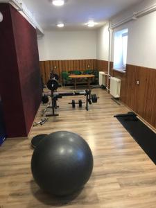 ein Fitnessstudio mit einem großen Trainingsball auf dem Boden in der Unterkunft Penzion Samoty in Železná Ruda