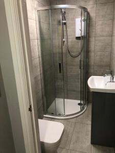 een badkamer met een douche, een toilet en een wastafel bij New ground floor 2 bed flat close to the beach in Southbourne