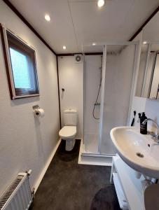 een badkamer met een douche, een toilet en een wastafel bij Heerlijk chalet in prachtige natuur. in Doornspijk