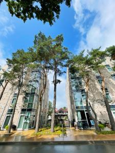 a group of trees in front of a building at Grand Baltic Dunes Hotel & SPA in Palanga