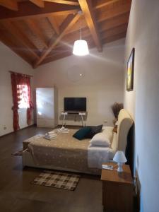 a bedroom with a bed and a television in it at Mazzi House Garden in Dossobuono