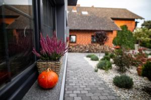 Zahrada ubytování HORTUS apartament z klimatyzacją
