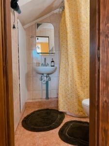 ein Bad mit einem Waschbecken und einem Duschvorhang in der Unterkunft Вілла де Кампо in Chynadiyovo