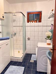 ein Bad mit einer Dusche und einem WC in der Unterkunft Villa Vida, Medulin - Bazen i jacuzzi in Medulin