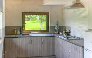 une cuisine avec un évier et une fenêtre dans l'établissement Awesome Home In Dolistowo Stare With Kitchen, à Stare Dolistowo
